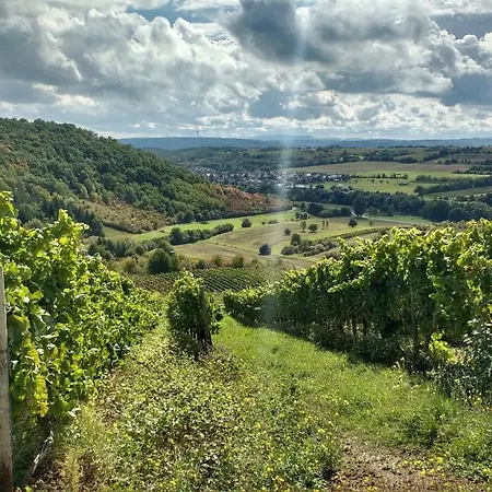 Ruhe Pur Am Golfplatz Apartamento Stromberg (Hunsrueck)